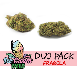 Duo Pack CBD Fragola bundle 2 aromi